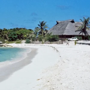 Vacation® Summer Beach Pack