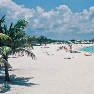 Classic Spray SPF 50