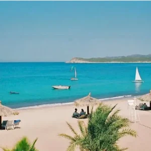 Office Holiday Party T-Shirt