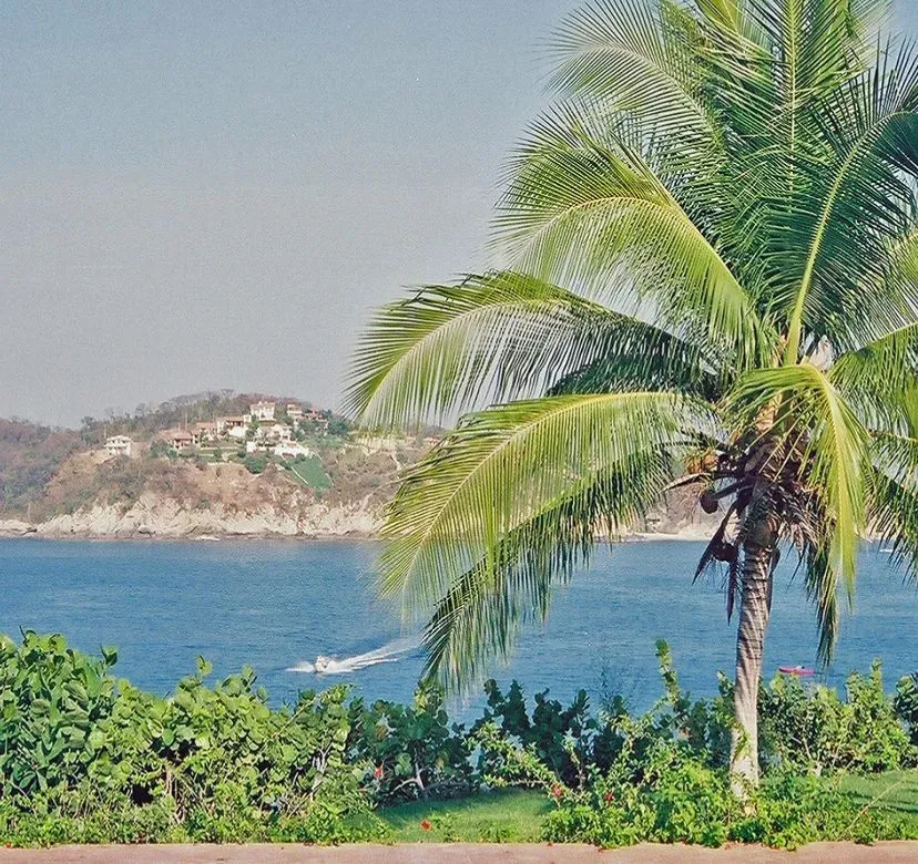 Prince® x Vacation® T-Shirt