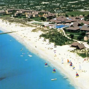 Refresh & Protect T-Shirt