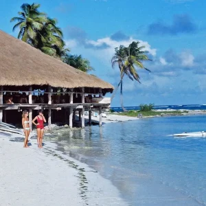 Corporate Cookout T-Shirt