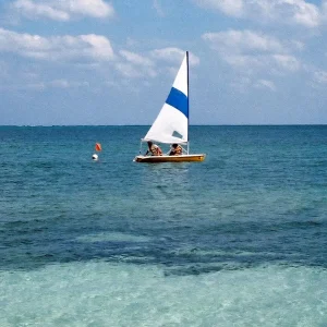 "Don Approved" T-Shirt