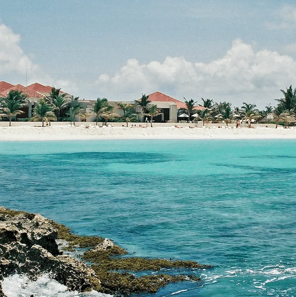 Vacation® Luxury Shine Duo