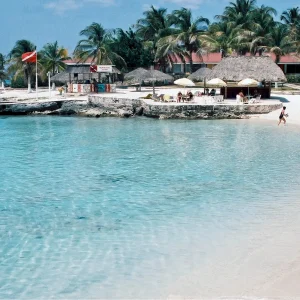 Classic Spray SPF 50 (Pack of 3)