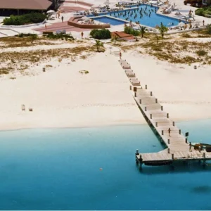 Air Freshener Variety Pack (Pack of 6)