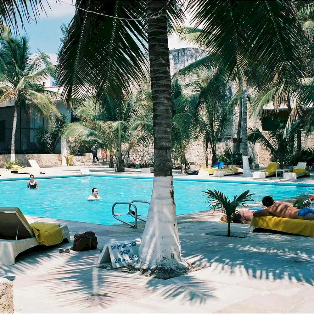 Classic Lotion SPF 50 (Pack of 3)